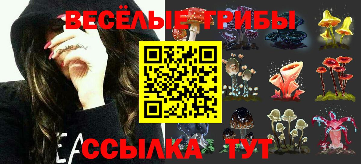 Галлюциногенные грибы прущие грибы Сертолово